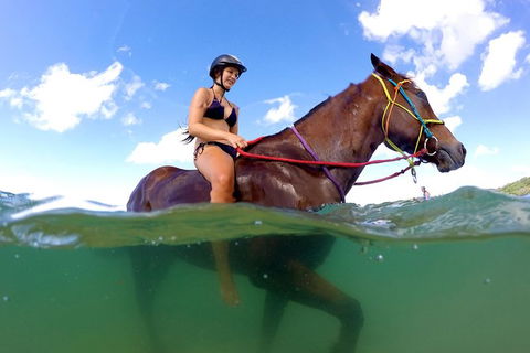 Horse Swimming Ride From Rainbow Beach - Stayed 1
