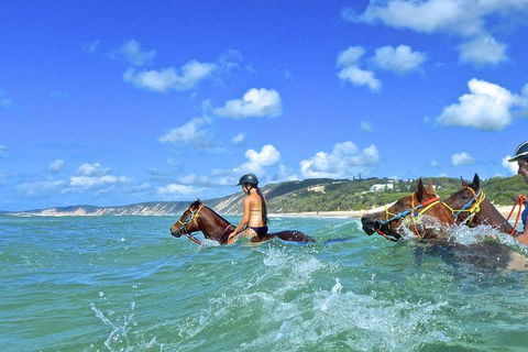 Horse Swimming Ride From Rainbow Beach - Stayed 0