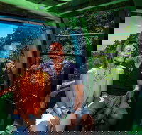 Skyrail Rainforest Cableway Day Trip from Palm Cove - Stayed