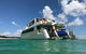 Eco Marine Safari - Boom Netting & Snorkeling Moreton Island - Fortitude Valley - thumb 0