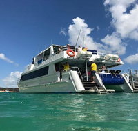 Eco Marine Safari - Boom netting  Snorkeling Moreton Island - Fortitude Valley - Stayed