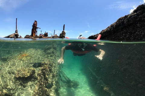 Eco Marine Safari - Boom Netting & Snorkeling Moreton Island - Fortitude Valley - Stayed 1