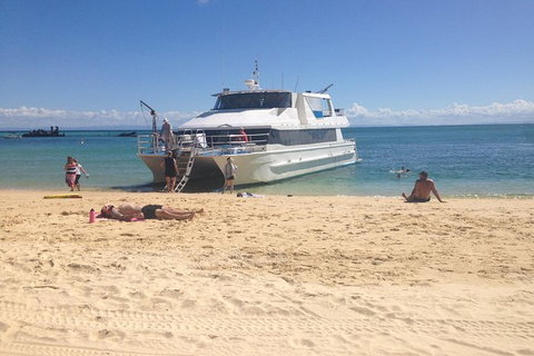 Eco Marine Safari - Boom Netting & Snorkeling Moreton Island - Fortitude Valley - Stayed 11