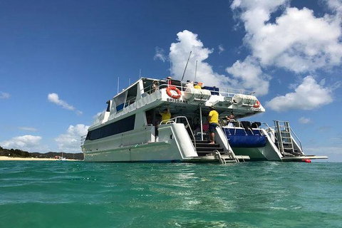 Eco Marine Safari - Boom Netting & Snorkeling Moreton Island - Fortitude Valley - Stayed 2