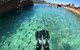 Eco Marine Safari - Boom Netting & Snorkeling Moreton Island - Fortitude Valley - thumb 6