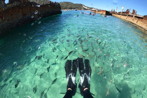 Eco Marine Safari - Boom Netting & Snorkeling Moreton Island - Fortitude Valley - Stayed 6