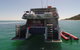 Eco Marine Safari - Boom Netting & Snorkeling Moreton Island - Fortitude Valley - thumb 13