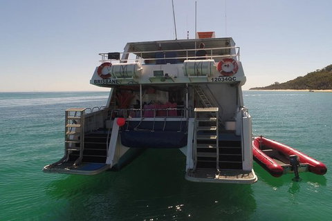 Eco Marine Safari - Boom Netting & Snorkeling Moreton Island - Fortitude Valley - Stayed 13