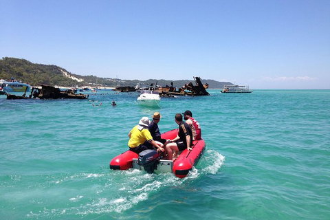 Eco Marine Safari - Boom Netting & Snorkeling Moreton Island - Fortitude Valley - Stayed 3