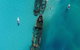 Eco Marine Safari - Boom Netting & Snorkeling Moreton Island - Fortitude Valley - thumb 8