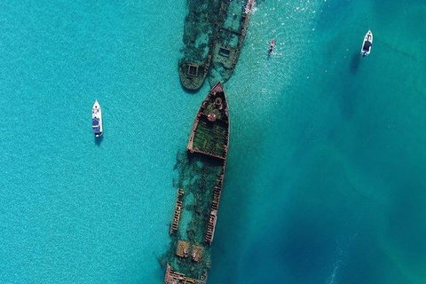 Eco Marine Safari - Boom Netting & Snorkeling Moreton Island - Fortitude Valley - Stayed 8