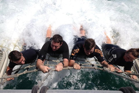 Eco Marine Safari - Boom Netting & Snorkeling Moreton Island - Fortitude Valley - Stayed 10