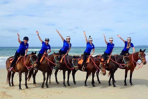 Rainbow Beach Horse Ride - Stayed 4