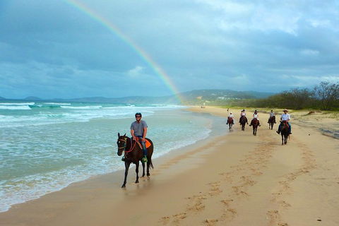 Rainbow Beach Horse Ride - Stayed 1