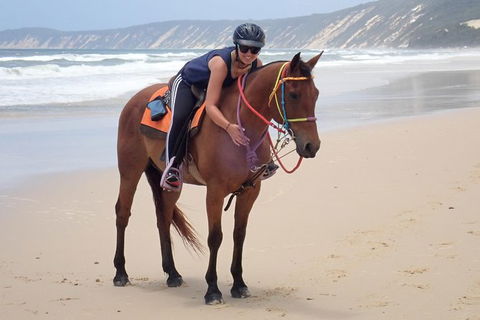 Rainbow Beach Horse Ride - Stayed 2