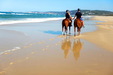 Rainbow Beach Horse Ride - Stayed 3