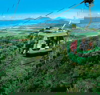 Small-Group Kuranda Village Skyrail Cableway and Scenic Railway Day Trip from Port Douglas - Stayed