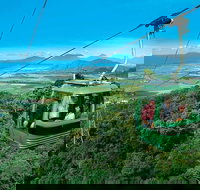 Kuranda Full-Day Small-Group Tour from Port Douglas - Stayed