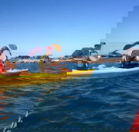 Port Douglas Half-Day Kayak Tour - Stayed