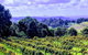 Queensland Food Tour: Farm-to-Table Indulgence - thumb 6