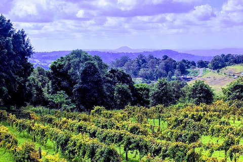 Queensland Food Tour: Farm-to-Table Indulgence - Stayed 6