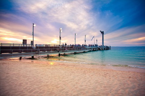 Dolphin Viewing Day Cruise To Tangalooma Island Resort On Moreton Island - Stayed 4