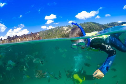 Dolphin Viewing Day Cruise To Tangalooma Island Resort On Moreton Island - Stayed 3