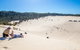 Dolphin Viewing Day Cruise To Tangalooma Island Resort On Moreton Island - thumb 6