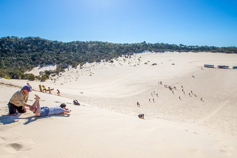 Dolphin Viewing Day Cruise To Tangalooma Island Resort On Moreton Island - Stayed 6