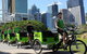 Green Cabs Brisbane Tours - thumb 3