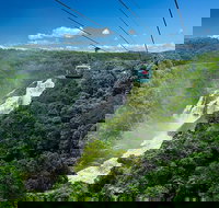 Skyrail Rainforest Cableway Day Trip from Port Douglas - Stayed