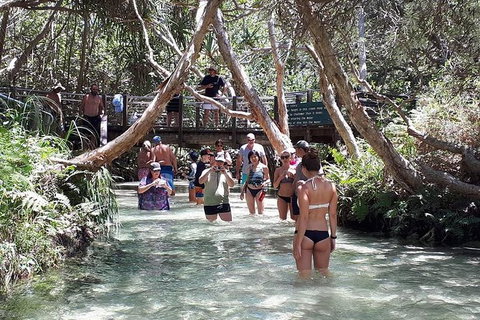 Overnight Fraser Island Camping Safari From Brisbane - Stayed 1
