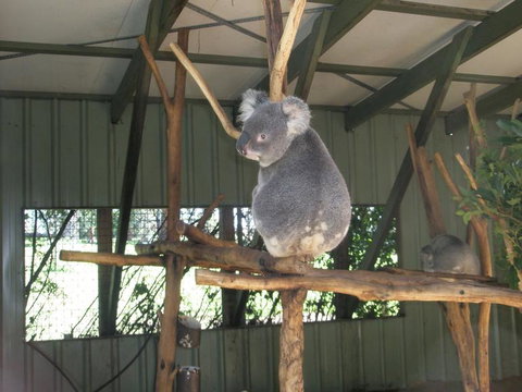 Brisbane Afternoon Tour To XXXX Brewery And Mt Coot-tha - Stayed 3