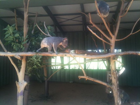 Brisbane Afternoon Tour To XXXX Brewery And Mt Coot-tha - Stayed 2