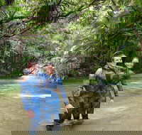 Mossman River Drift Snorkelling from Port Douglas or Mossman - Stayed