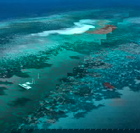 Outer Barrier Reef Sailing and Snorkeling Adventure from Port Douglas - Stayed