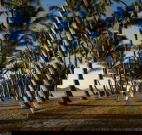 Port Douglas Round-Trip Transfer from Cairns with Free Time in Port Douglas - Stayed