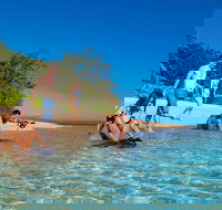 Half Day Low Isles Snorkelling Tour from Port Douglas - Stayed