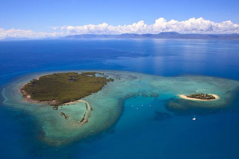 Half Day Low Isles Snorkelling Tour From Port Douglas - Stayed 4