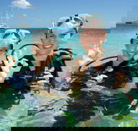 Ocean Spirit Michaelmas Cay Dive and Snorkel Cruise from Palm Cove - Stayed