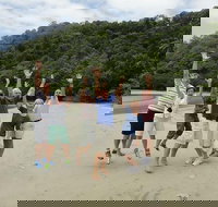 Private Daintree Wanderer Tour - Stayed