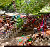 Kuranda Day Trip small group from Port Douglas by bus - Stayed