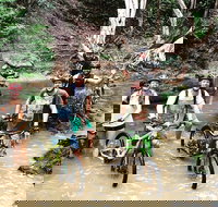 Half Day Bump Track MTB Ride - Stayed