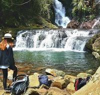 Lamington Day Tour - Stayed