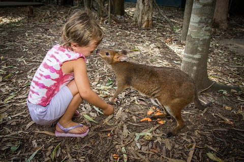 Hartley's Crocodile Adventures Day Trip From Cairns - Stayed 1