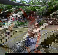 Hartley's Crocodile Adventures Day Trip from Cairns - Stayed