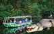 Daintree River Cruise - thumb 7