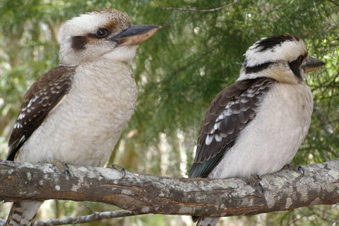 Stradbroke Island 4WD Day Trip From Brisbane - Stays Accommodation 7