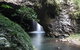 Small-Group 4WD Springbrook National Park Day Trip From Brisbane - thumb 0