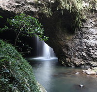 Small-Group 4WD Springbrook National Park Day Trip from Brisbane - Stayed
